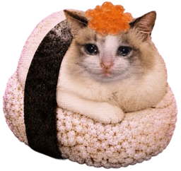 Sushi Cat game mascot